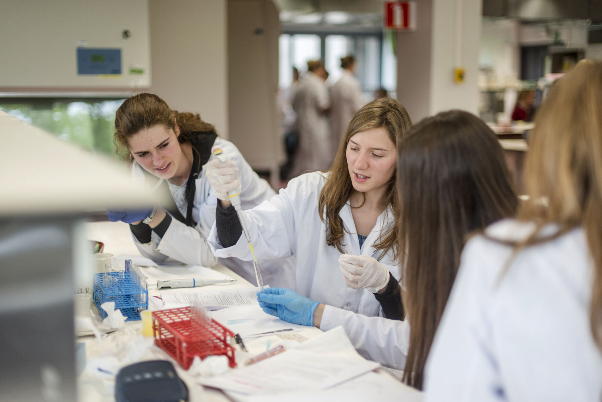 Metabolisme practicum diergeneeskunde (20).jpg
