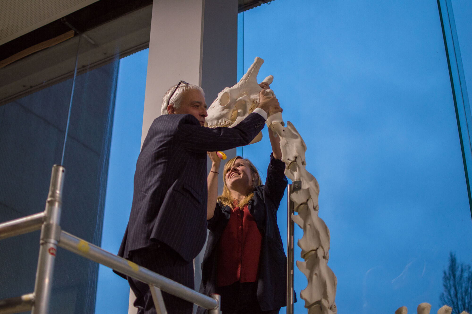 Installatie giraf Dana (13).jpg