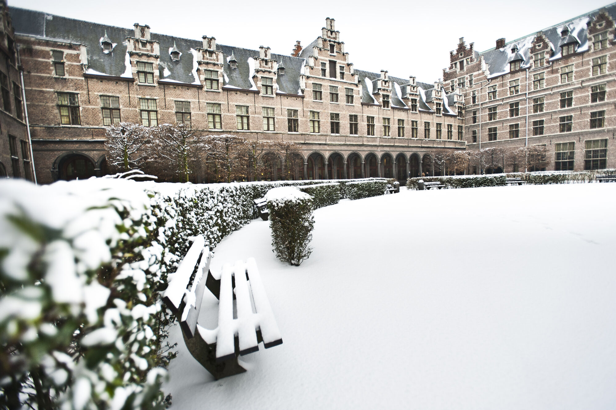 Sneeuwbeelden (4).jpg