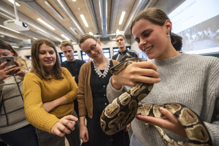 Biologie - amfibieën en reptielen (51).jpg