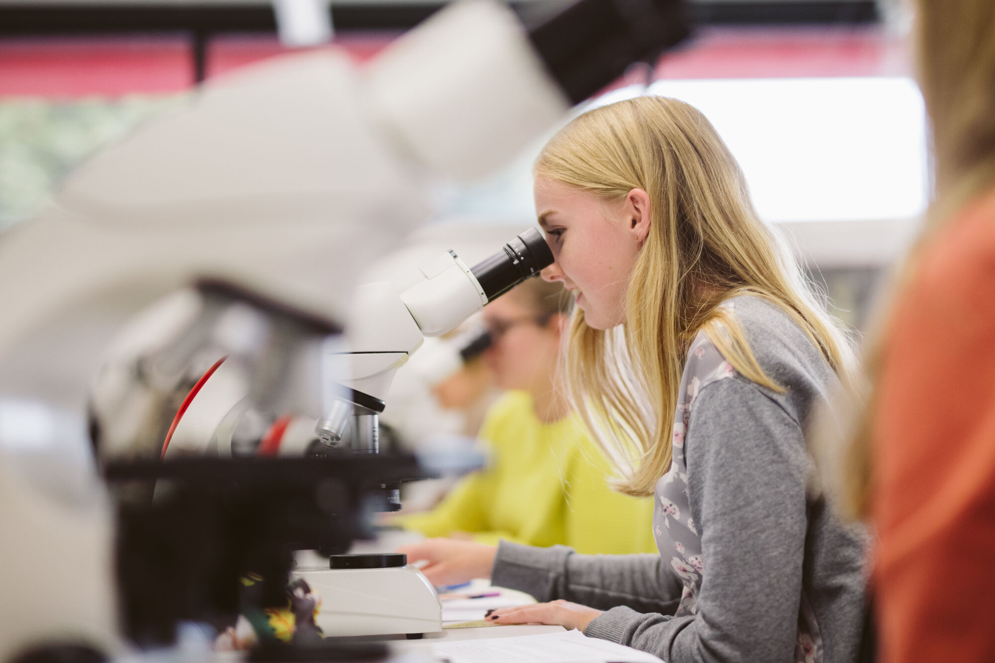 Long en nier practicum biomedische wetenschappen (5).jpg