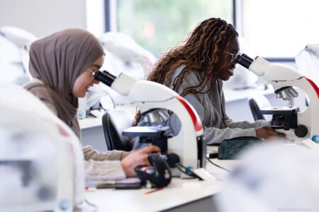 histologie-bachelorBMW-9.jpg