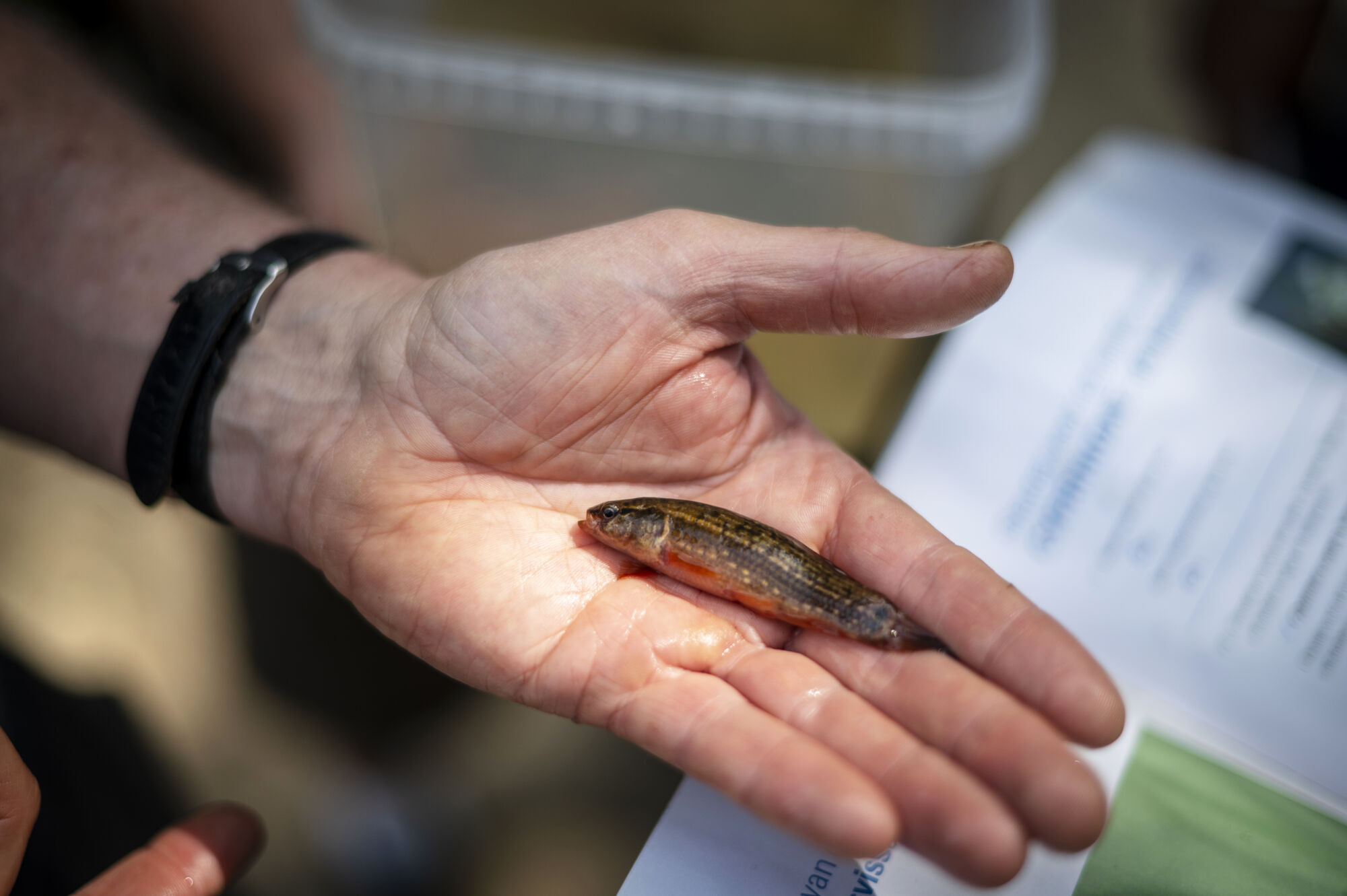 Excursie bachelor biologie