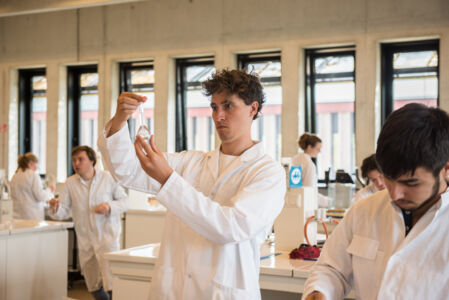 Biologie - vorm en functie planten (22).jpg