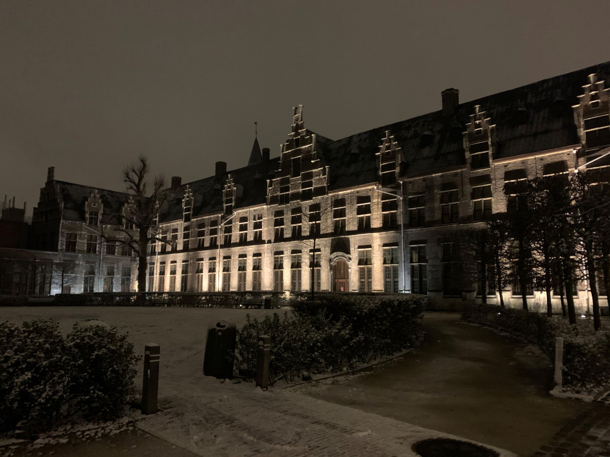 Sneeuwbeelden februari 2021 (11).jpg