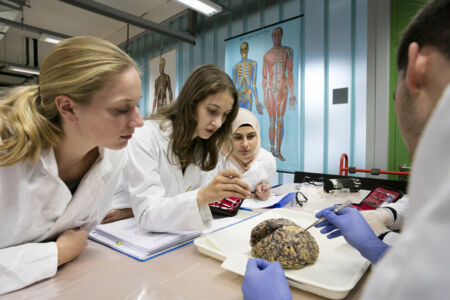 Neuro-practicum - biomedische wetenschappen (4)