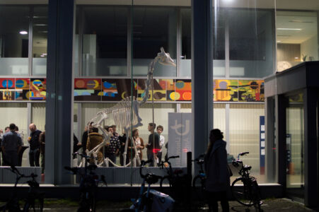 Installatie giraf Dana (36).jpg