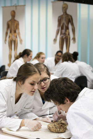 Neuro-practicum - biomedische wetenschappen (21)