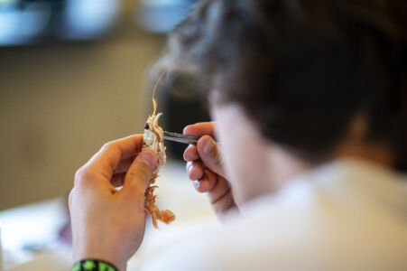 Biologie practicum