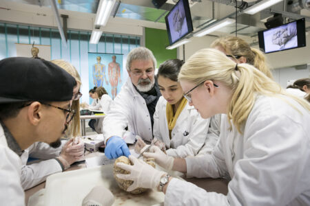 Neuro-practicum - biomedische wetenschappen (14)