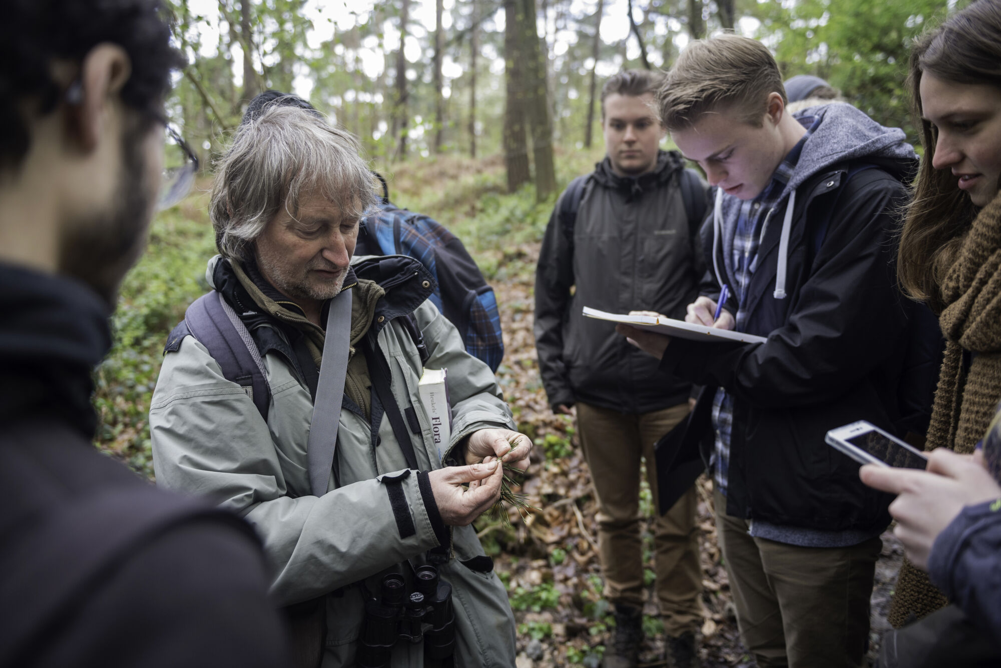 Hallerbos biologie (4).jpg