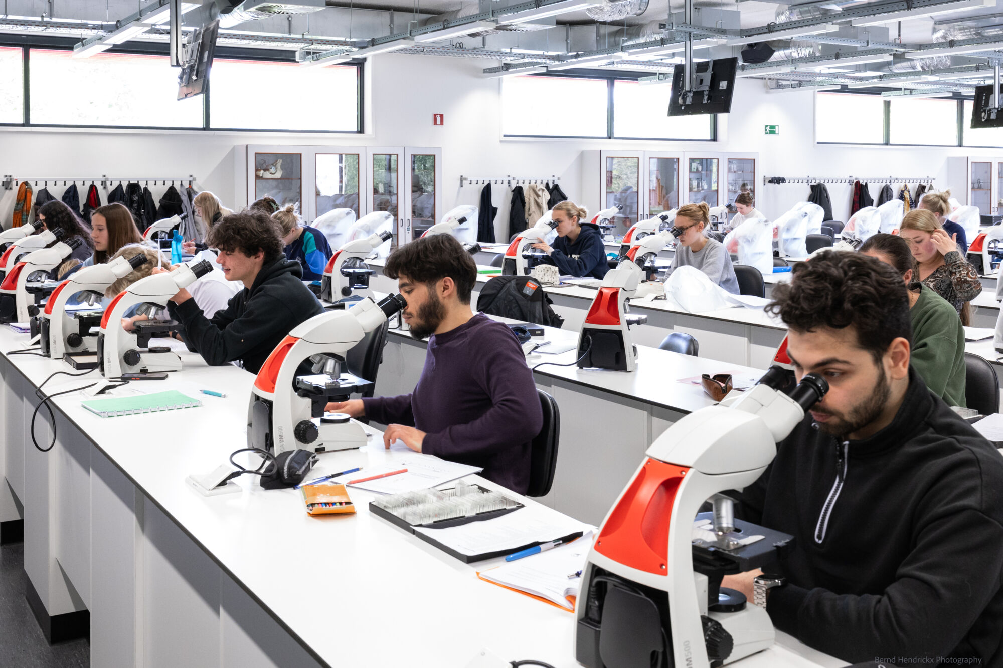 histologie-bachelorBMW-29.jpg