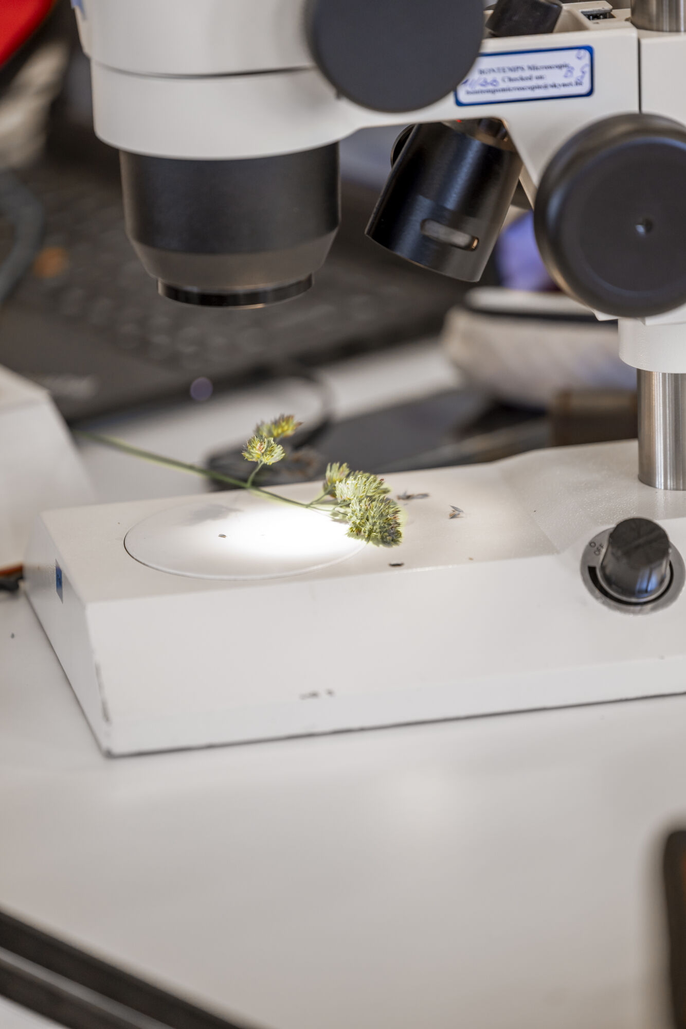 Biologiepracticum bachelor  