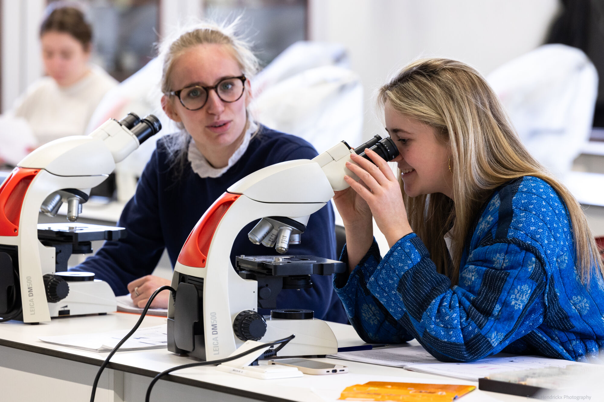 histologie-bachelorBMW-24.jpg