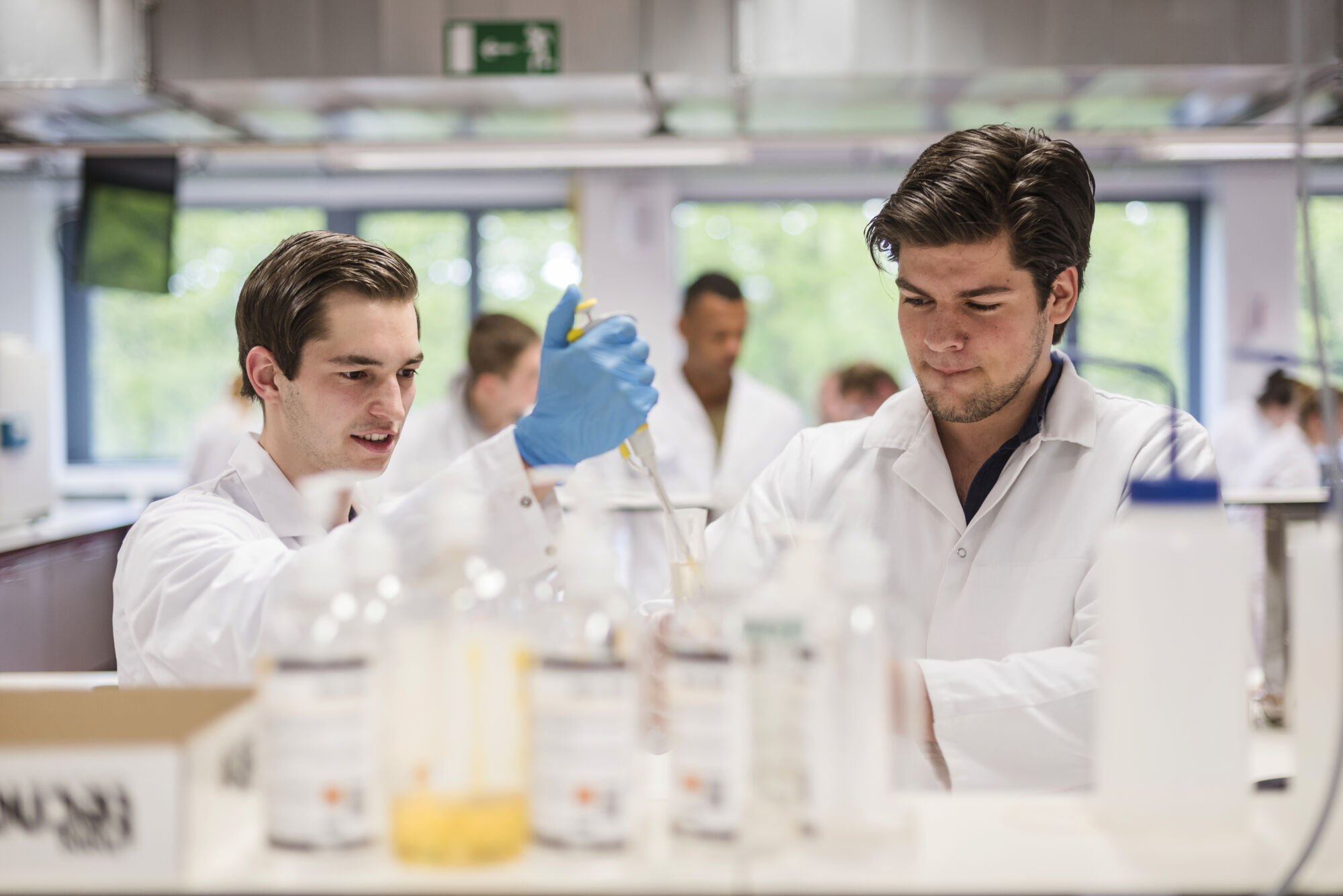 Practicum diergeneeskunde 2017 (09).jpg