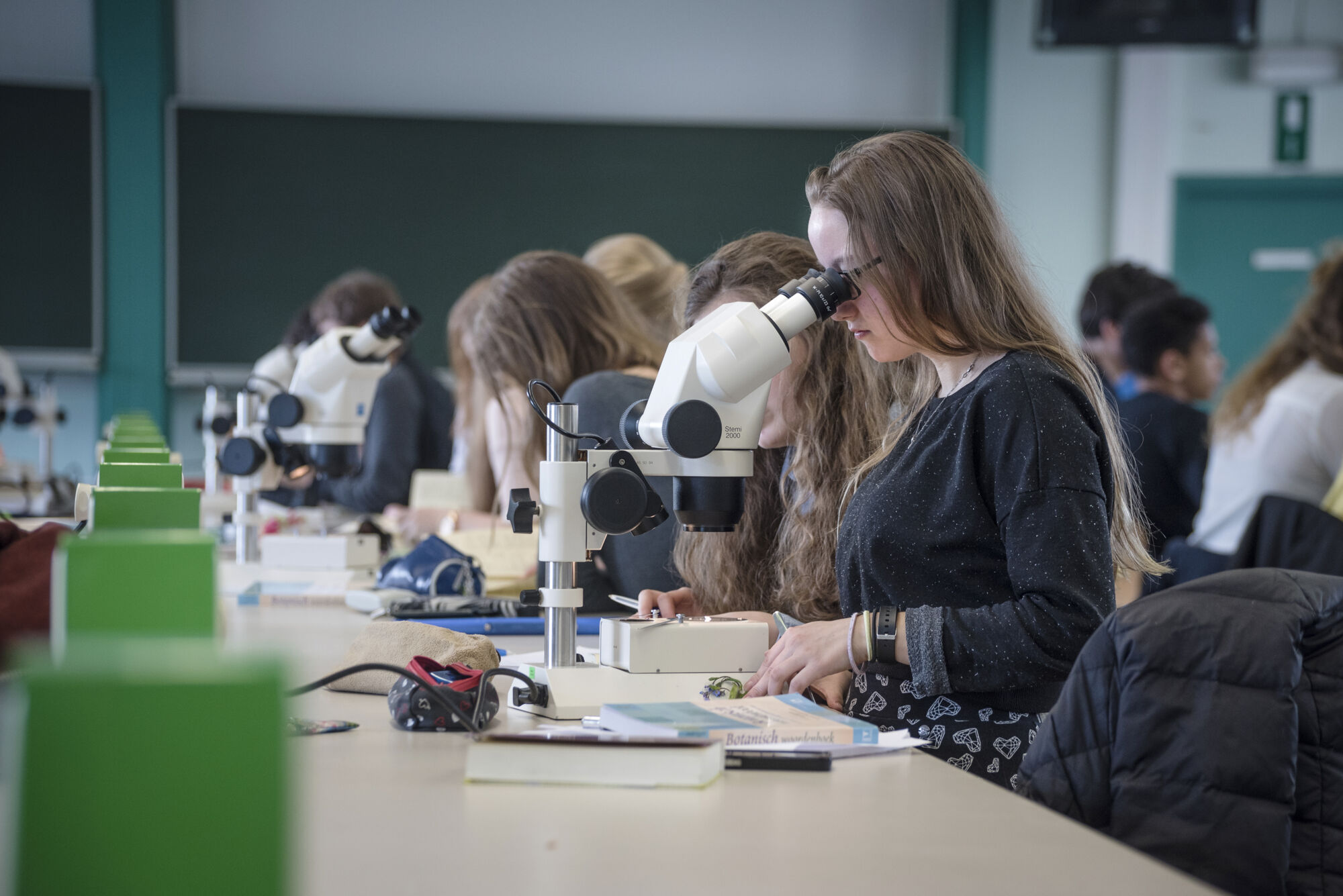 Biologie - Plantenkunde 2016 (22).jpg