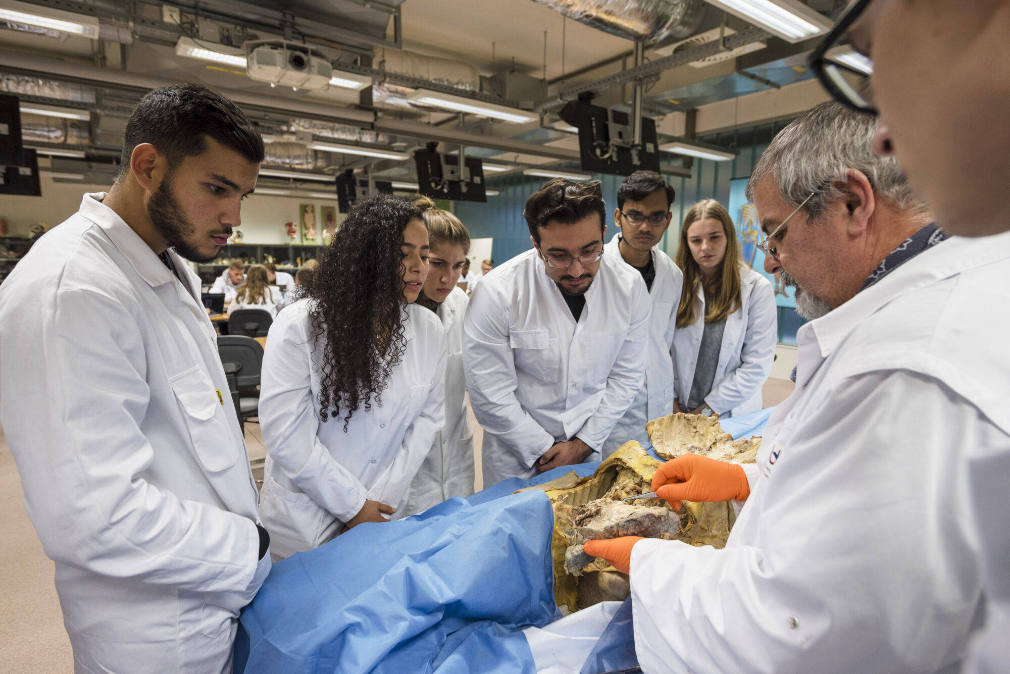 Anatomiepracticum geneeskunde (12).jpg
