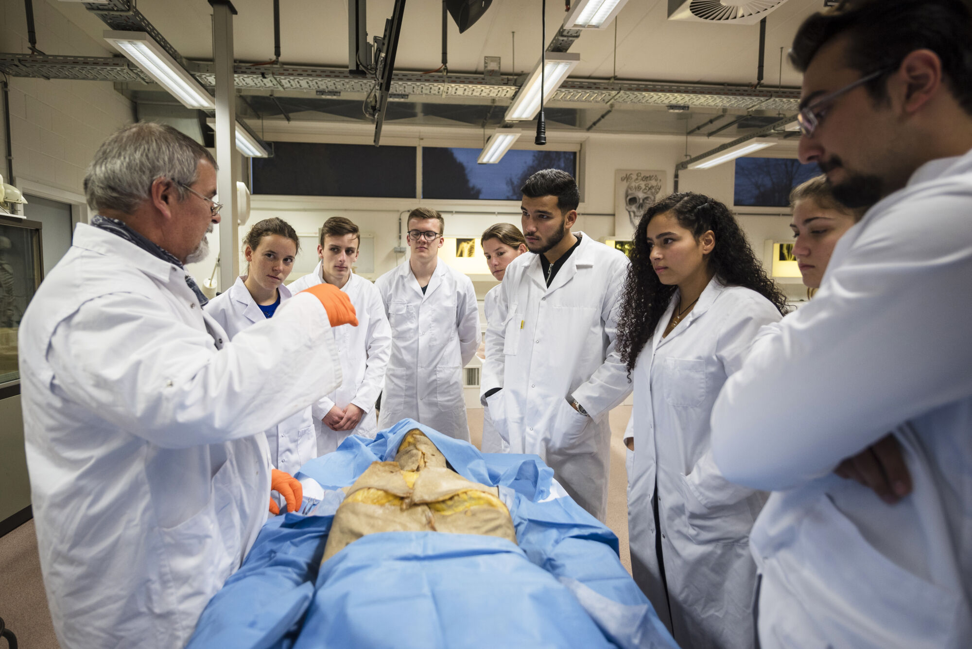Anatomiepracticum geneeskunde (8).jpg