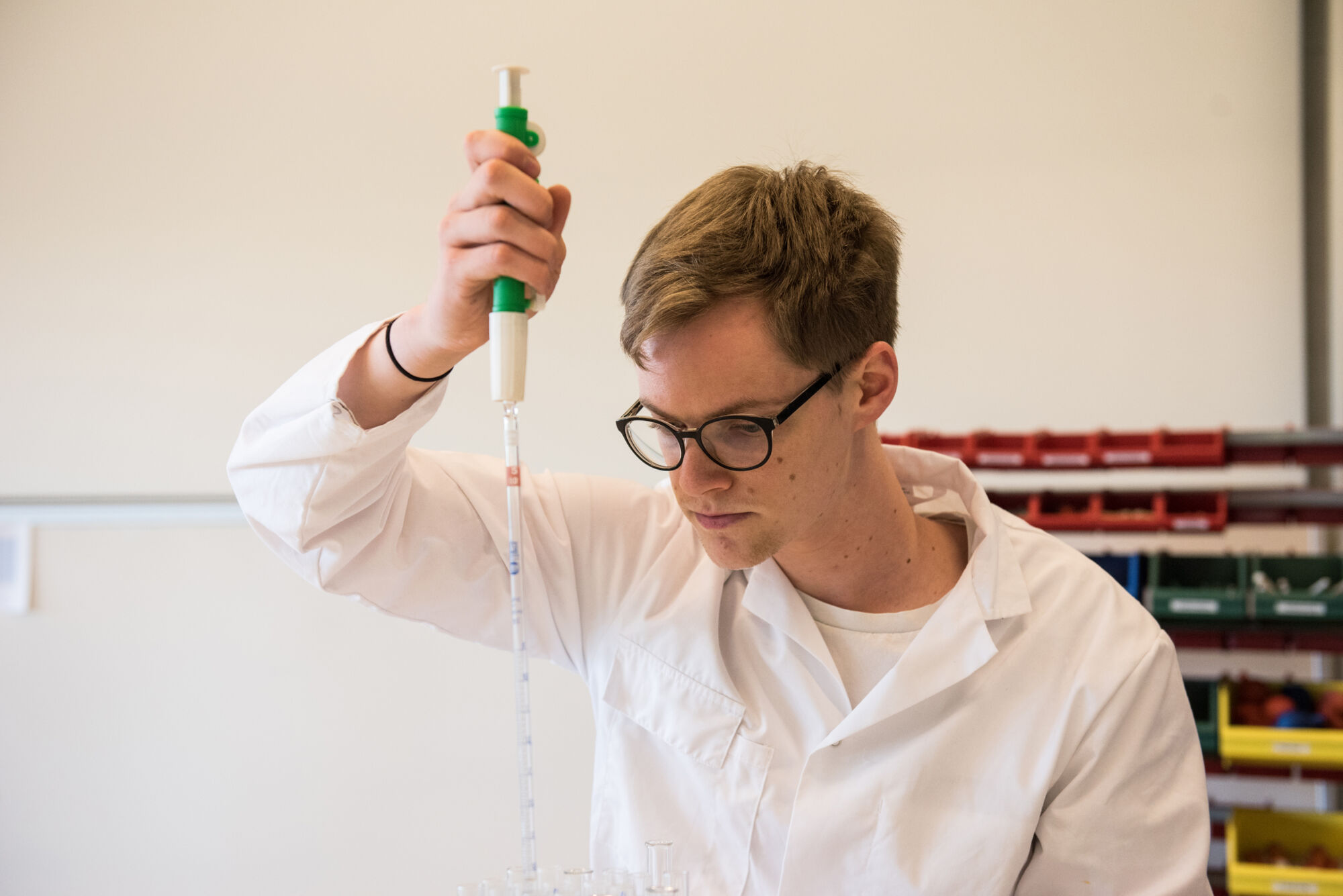 Biologie - vorm en functie planten (28).jpg