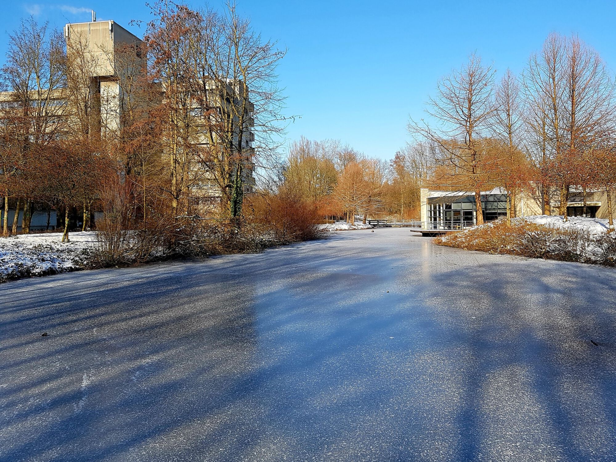 Sneeuwbeelden februari 2021 (13).jpg