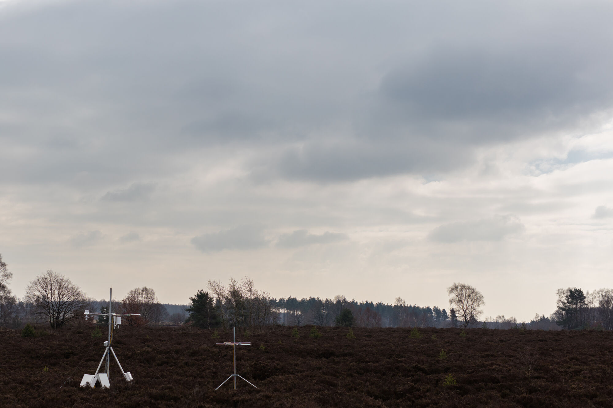 Integrated Carbon Observation System (12).jpg