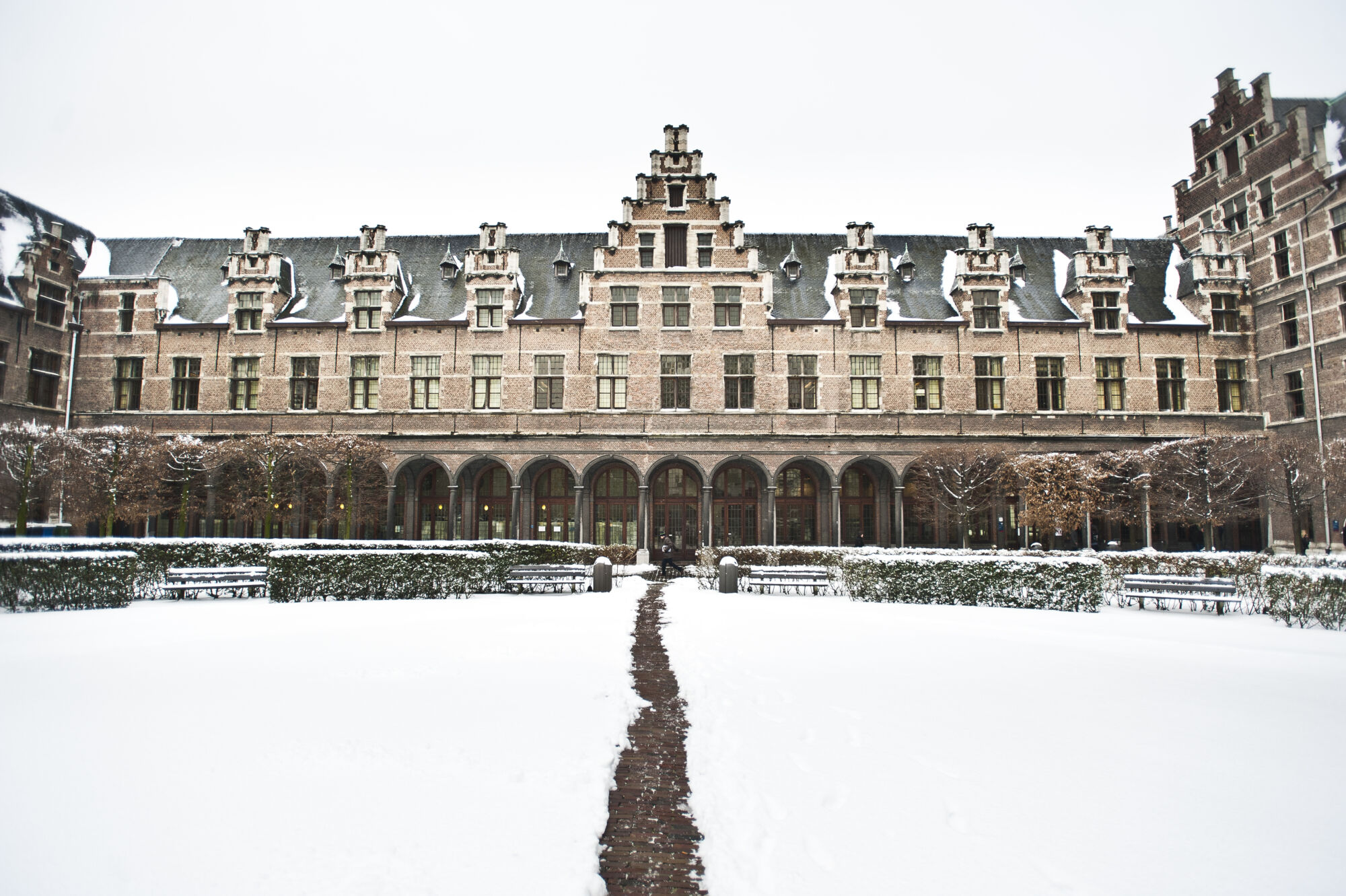 Sneeuwbeelden (5).jpg