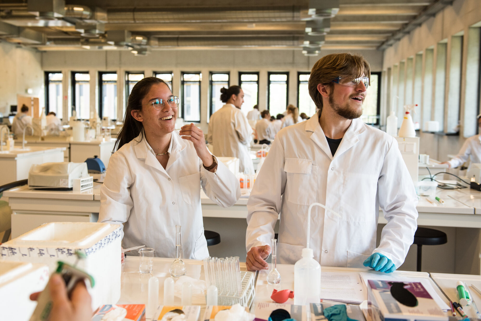 Biologie - vorm en functie planten (26).jpg