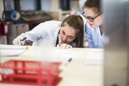 Practicum diergeneeskunde 2017 (04).jpg