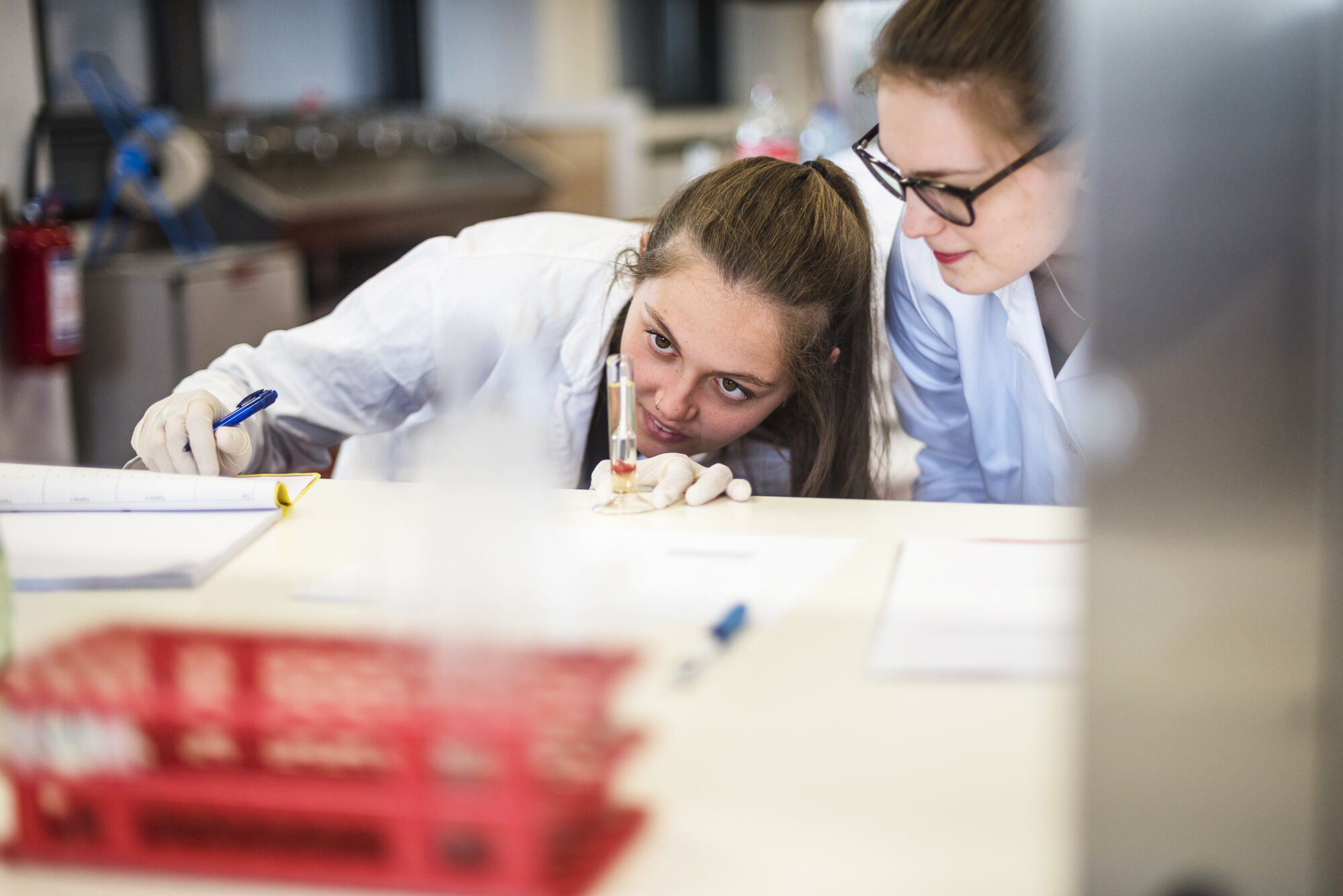 Practicum diergeneeskunde 2017 (04).jpg