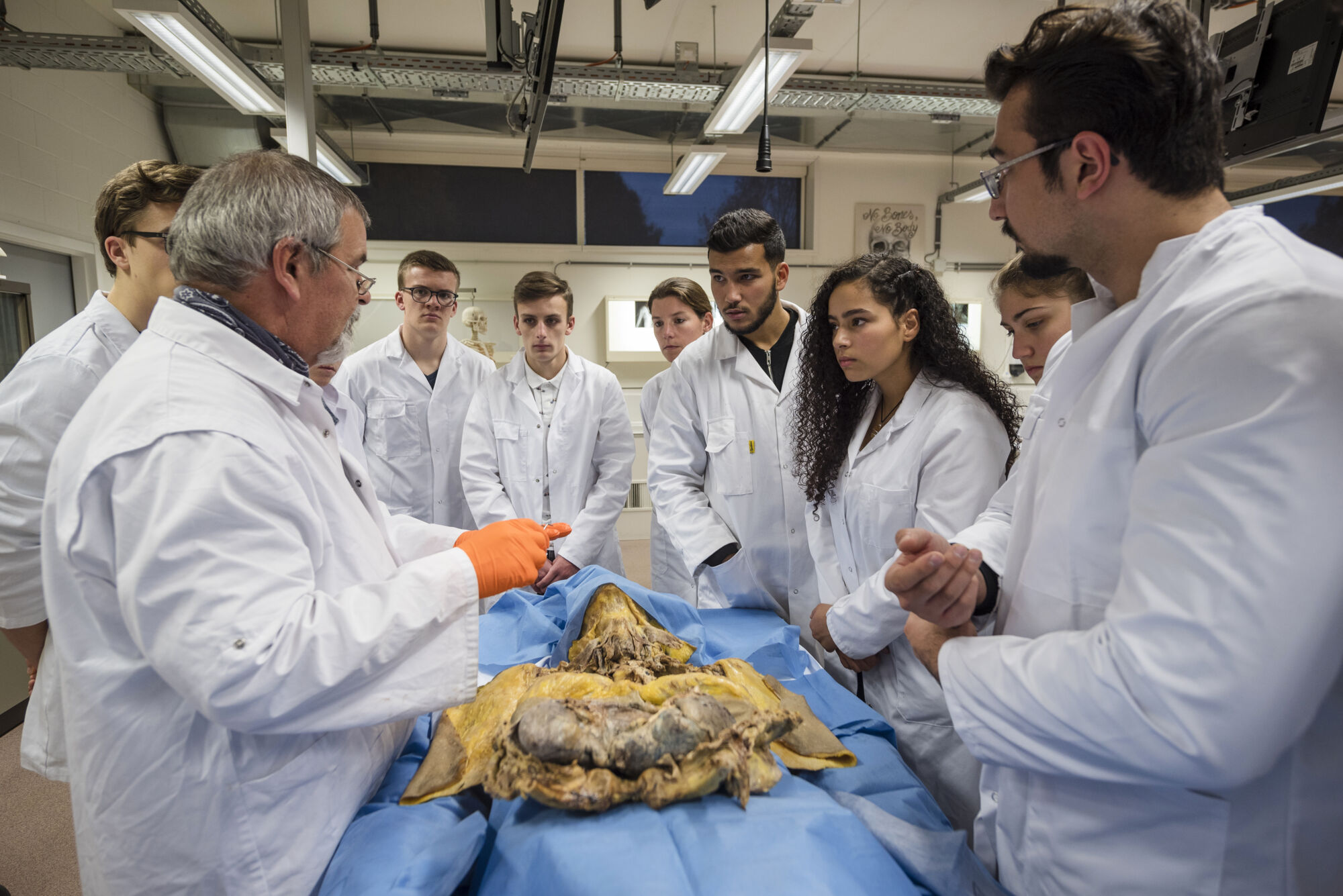 Anatomiepracticum geneeskunde (14).jpg