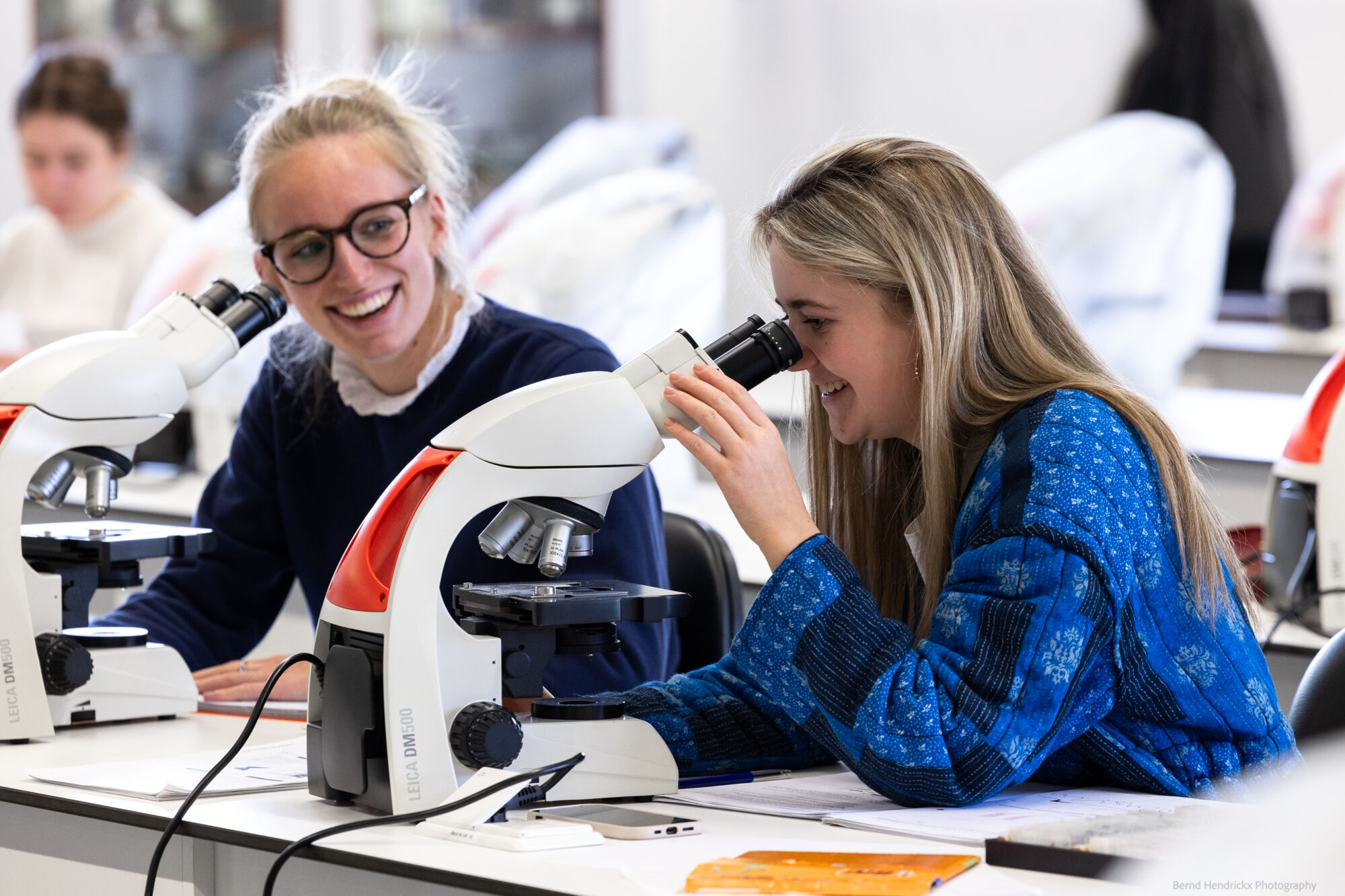 histologie-bachelorBMW-25.jpg