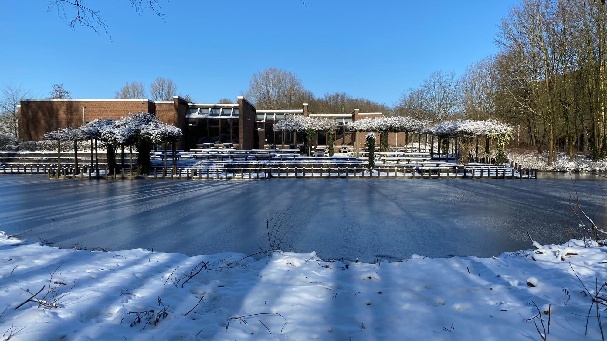 Sneeuwbeelden februari 2021 (09).jpg