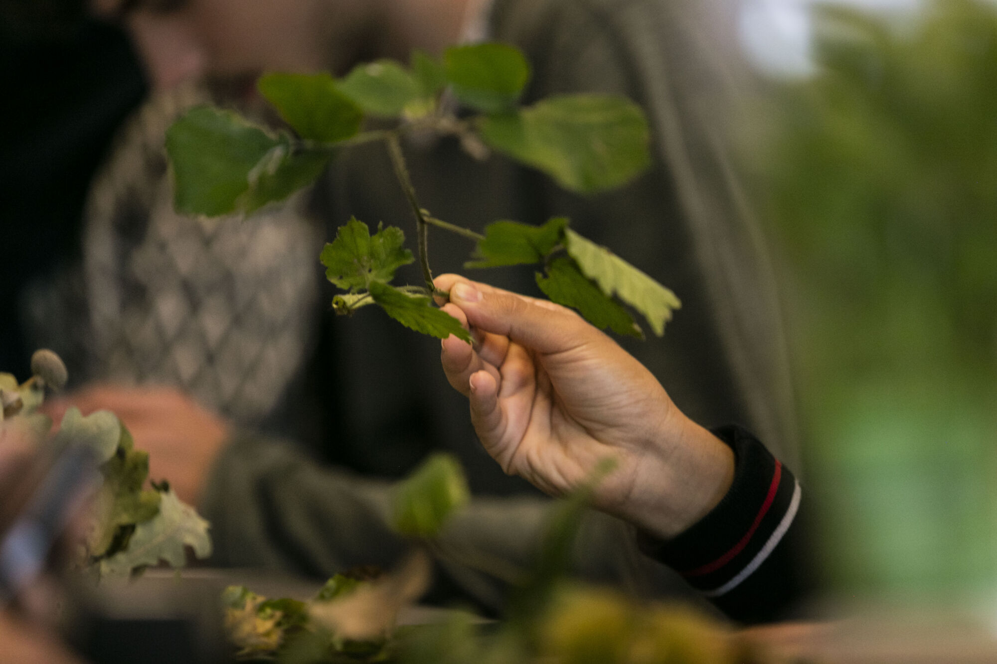 Bio-ingenieurswetenschappen practicum (05).jpg