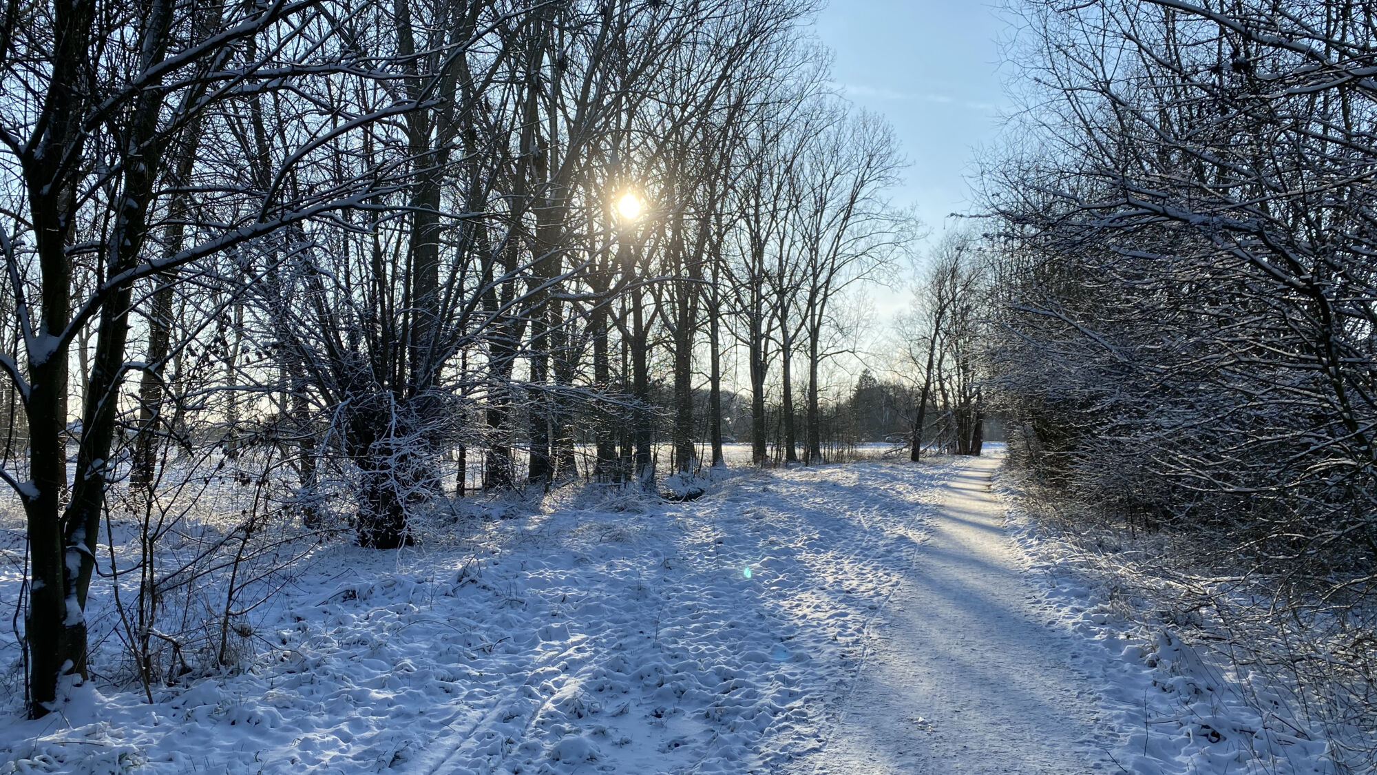 Sneeuwbeelden februari 2021 (18).jpeg