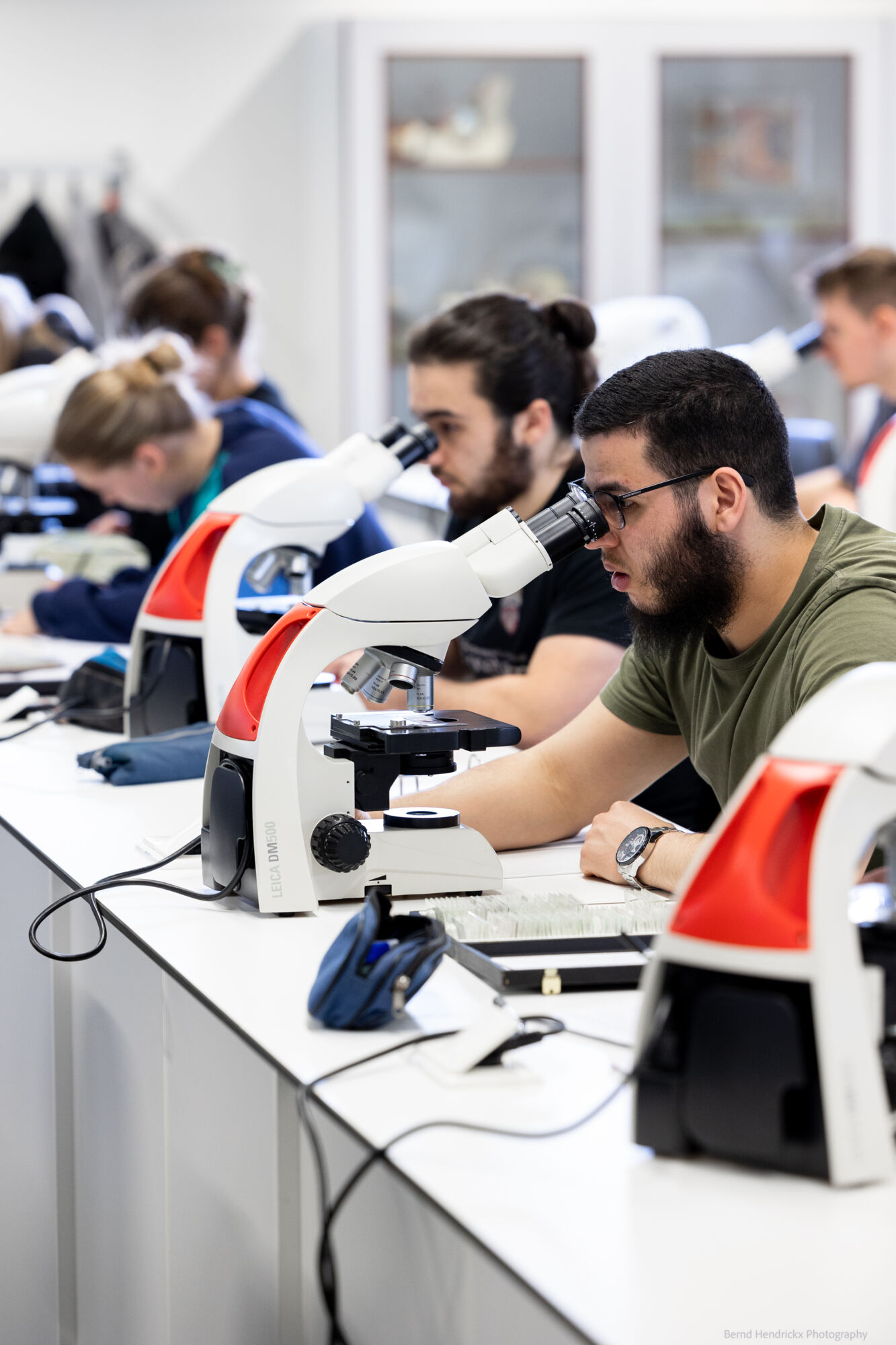 histologie-bachelorBMW-61.jpg
