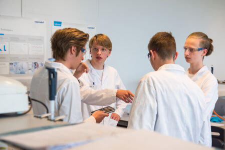 Geïntegreerd practicum bio-ingenieurswetenschappen (17).jpg