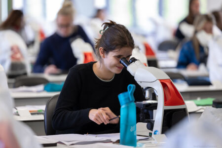 histologie-bachelorBMW-16.jpg