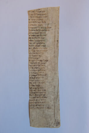 Middelnederlands fragment onder de scanner (52).jpg