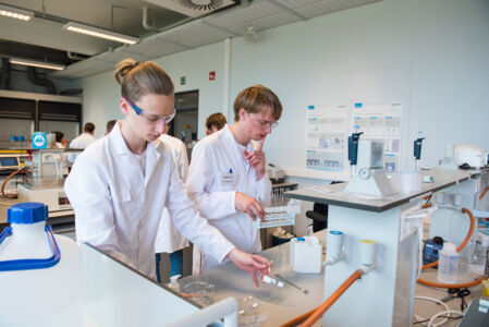 Geïntegreerd practicum bio-ingenieurswetenschappen (19).jpg