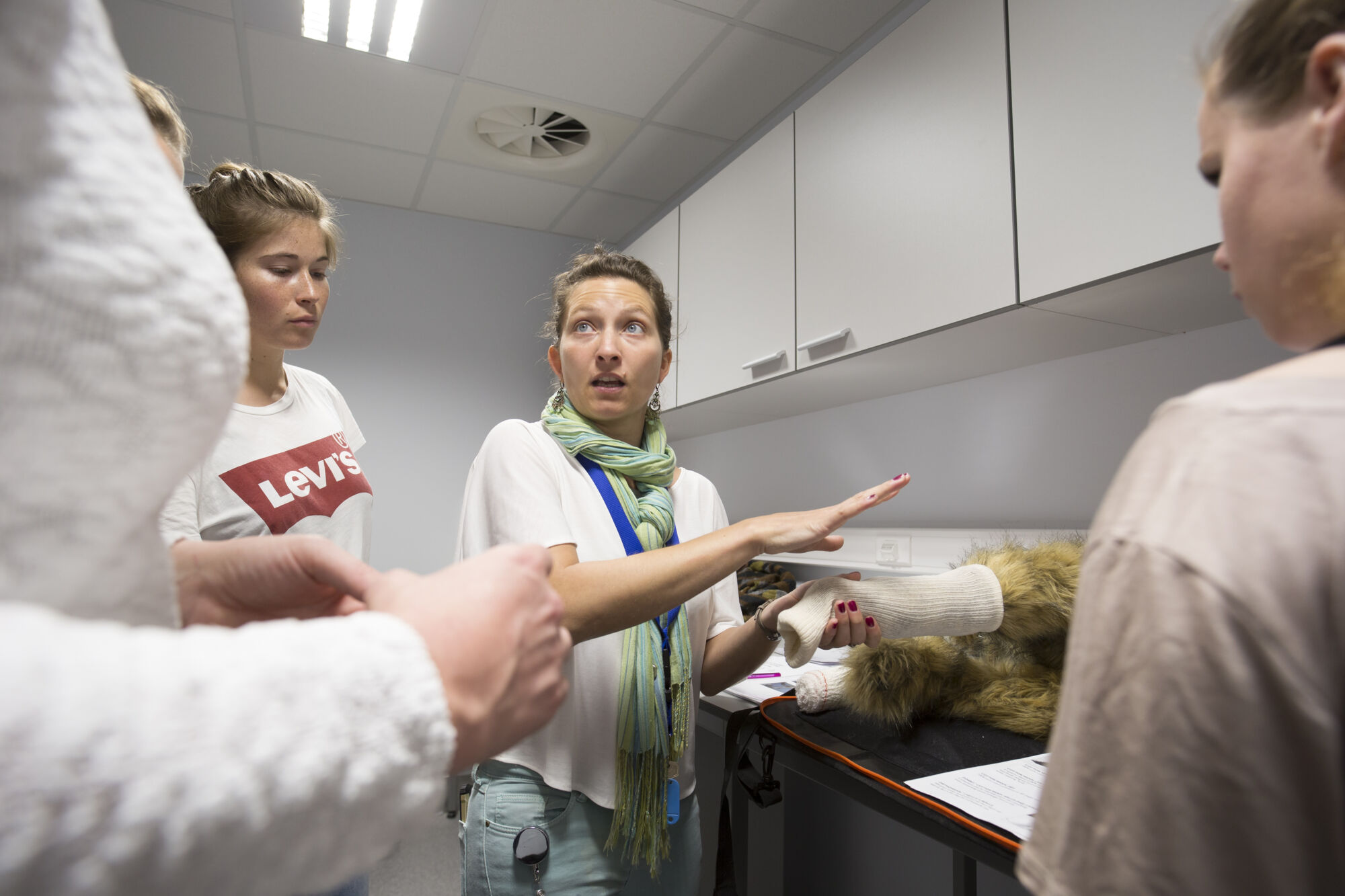 Practicum Skills Lab diergeneeskunde (1)