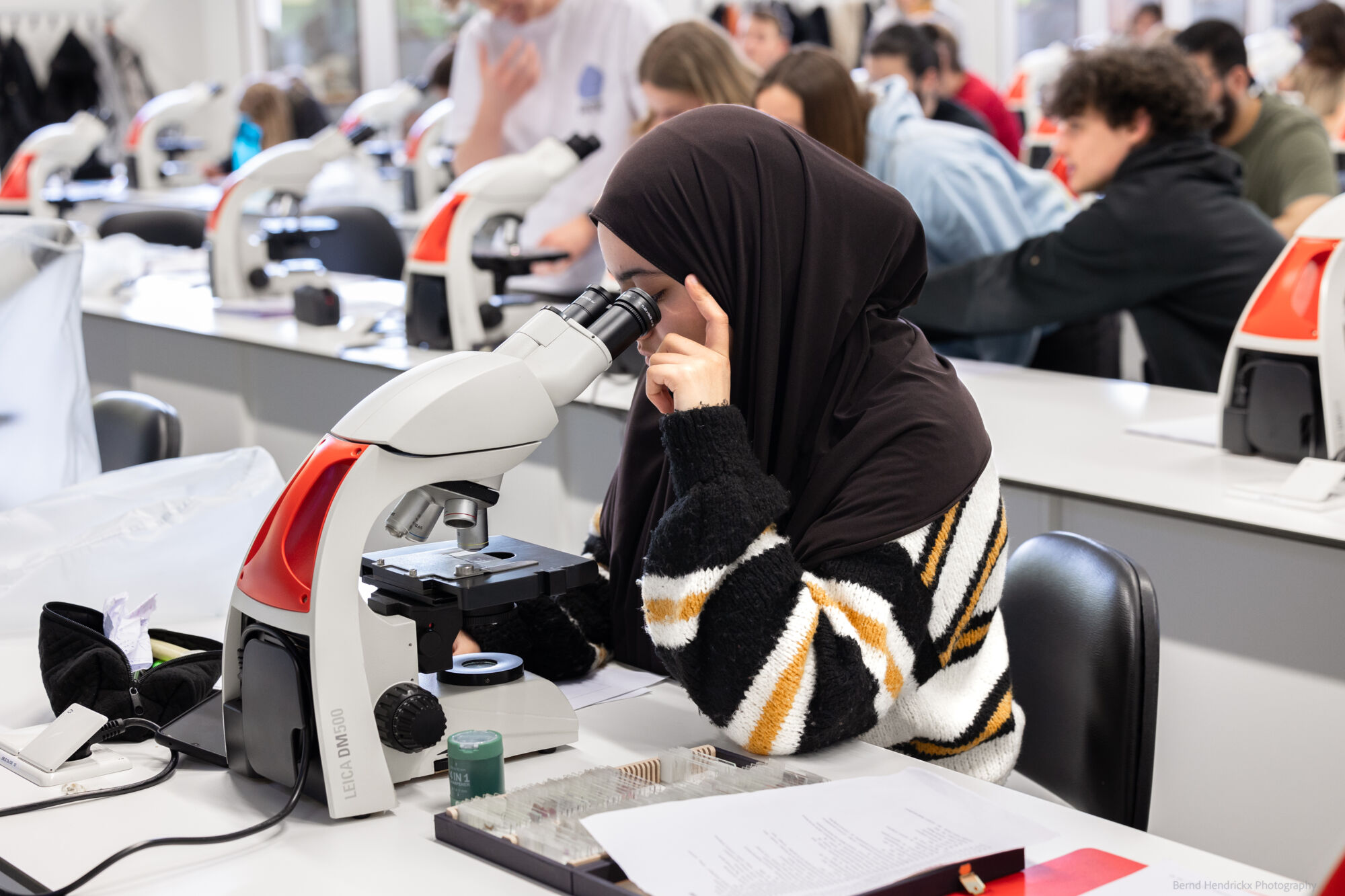 histologie-bachelorBMW-69.jpg