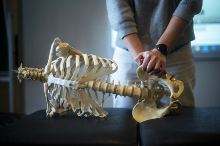 Musculoskeletal physiotherapy