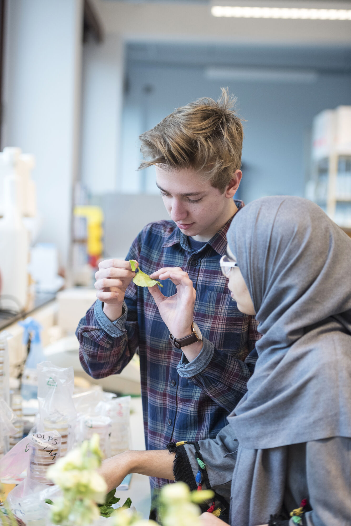 Bio-ingenieurswetenschappen practicum (17).jpg