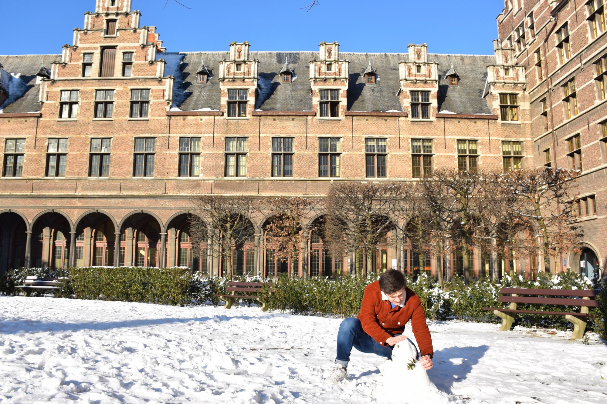 Sneeuwbeelden februari 2021 (17).JPG
