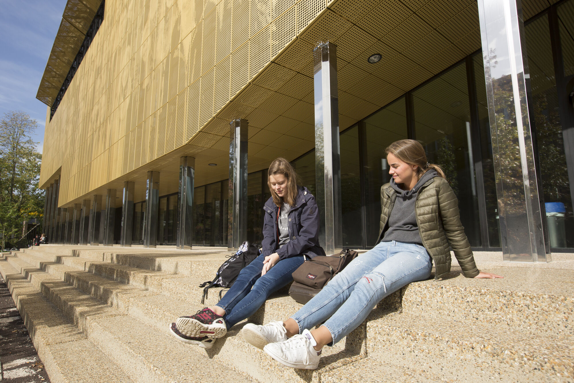 Campus Drie Eiken herfst (1)