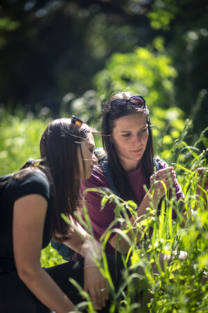 Excursie bachelor biologie