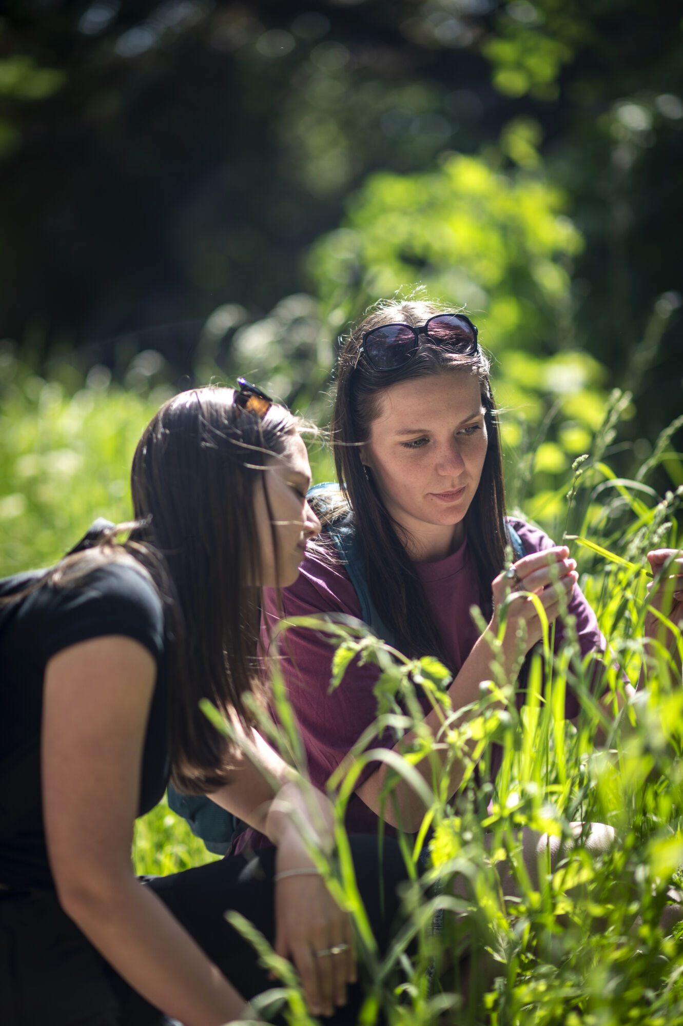 Excursie bachelor biologie