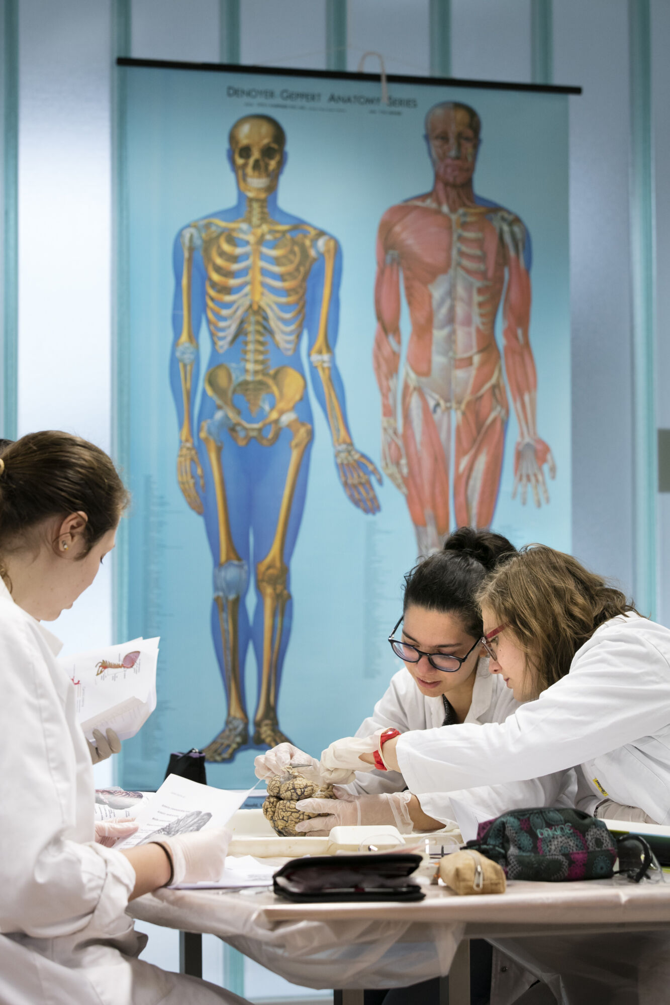 Neuro-practicum - biomedische wetenschappen (9)