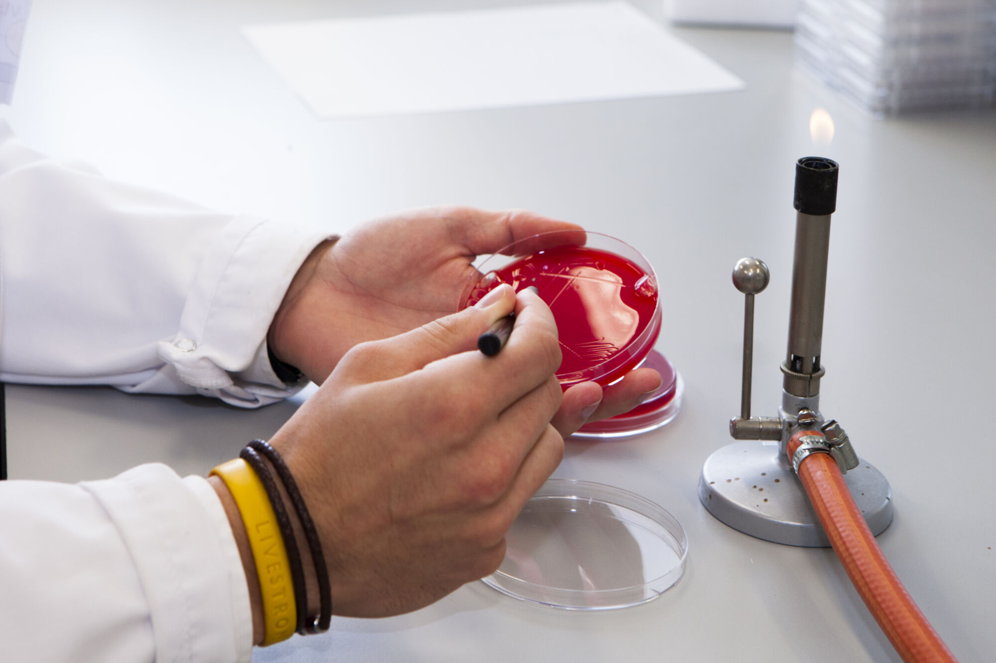 Laboratory of Medical Microbiology (56).jpg