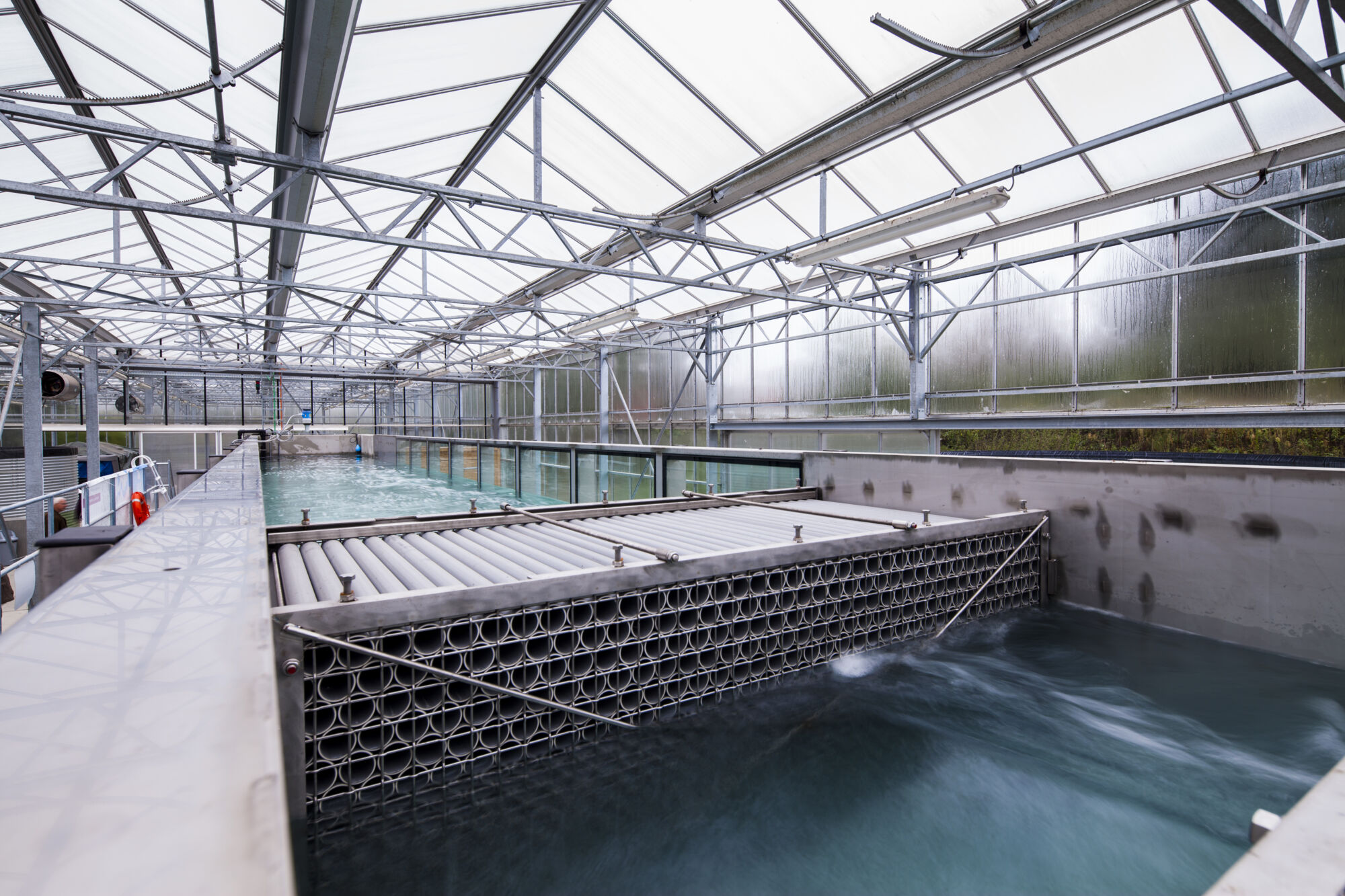 Mesodrome Infrastructuur (10).jpg